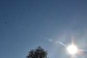 Morten 5 september 2023 - LN-ORB og solen over Høyenhall, klokken er 17.57 og Politiet er ute med sin Leonardo AW169 fra 2019. Dere ser fuglen?