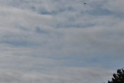 Morten 6 september 2023 - SAR Queen 0270 over Høyenhall, men nå kan jeg ikke følge deg lenger, Oslo Flyveklubb kommer med sin Diamond DA-40 NG som heter Mike