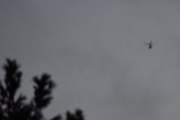 Morten 11 januar 2023 - Helikopter over Høyenhall, den har fem blader så jeg tror at dette er Politiet - og ingen fugl i treet