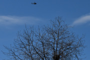Morten 17 april 2023 - Bell 412HP nr. 145 over Høyenhall, selvfølgelig ikke en eneste fugl i treet