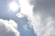 Morten 19 mai 2023 - Norsk Luftambulanse over Høyenhall, litt vanskelige lysforhold, men vi fikk med solen