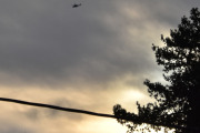 Morten 2 januar 2023 - Politihelikopter over Høyenhall, solen er for lav og ingen fugler i treet