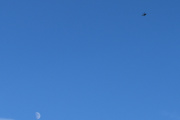 Morten 30 januar 2023 - LN-ORC rundt Høyenhall, her kommer dem tilbake igjen og vi får med månen
