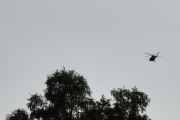 Morten 31 mai 2023 - Bell 412HP Arapaho over Høyenhall, så Forsvaret gjør sitt under NATO-møtet også