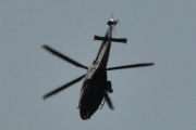 Morten 17 august 2024 - LN-ORA besøker Høyenhall, jeg leser i programmet at det står Helipolice (AW169)