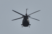 Morten 28 august 2024 - To Bell 412HP Arapaho over Høyenhall, dette er også den til høyre. Så blir spørsmålet, har jeg sett en Bell 412HP den 28 august før? Svaret er ja, det var 28 august 2023 og er kanskje et stikkord til meg...