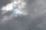 Morten 30 august 2024 - Politihelikopter over Høyenhall, og her fikk vi med solen og en fugl også - er jeg tilgitt?