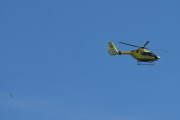 Morten 6 august 2024 - LN-OUH besøker Høyenhall, jeg har 120 bilder minst av den her, og har helt siden 18 mars 2019 lett etter en fugl sammen med den. Og her er den :-)