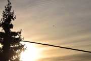 Morten 17 desember 2024 - Politihelikopter over Høyenhall