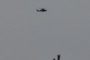 Morten 12 januar 2024 - Politihelikopter over Høyenhall