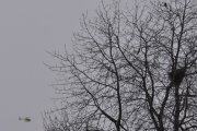 Morten 14 januar 2024 - LN-OOB over Høyenhall