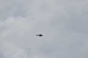 Morten 16 juli 2024 - Politihelikopter over Høyenhall, det var ikke en måke i luften, det var minst fem
