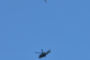 Morten 19 juli 2024 - Politihelikopter over Høyenhall, jeg husker 19 juli 2021, da fikk vi også med en fugl