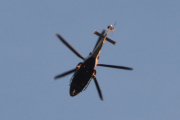 Morten 20 juli 2024 - Politihelikopter over Høyenhall på natten, men Politiet er ofte ute om natten, jeg husker 15 juli 2023