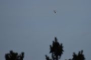 Morten 20 juli 2024 - Politihelikopter over Høyenhall på natten, men nå sier jeg god natt. Jeg husker første gangen jeg sa god natt, det var 20 mars 2021