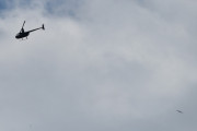 Morten 30 juli 2024 - Robinson R44 over Høyenhall igjen, så noe må jeg gjøre, tar et bilde med en fugl istedenfor