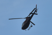 Morten 31 juli 2024 - LN-OGP besøker Høyenhall, men jeg har sett Helitrans i juli, kanskje du er en av dem? 12 juli 2020, 25 juli 2021, 1 og 8 og 29 juli 2022 og 13 juli 2024