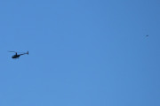 Morten 31 juli 2024 - Robinson R44 over Høyenhall, den er for langt unna, men jeg fikk med en fugl