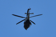Morten 20 juni 2024 - Politihelikopter over Høyenhall, her kom jeg for sent ut