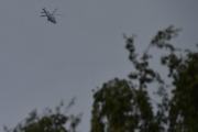 Morten Sankthansaften 23 juni 2024 - Politihelikopter over Høyenhall, så fuglene må vi jobbe litt mer på...