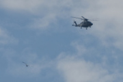 Morten 26 juni 2024 - Politihelikopter over Høyenhall, når jeg ser et Politihelikopter så ser jeg alltid etter fugler også