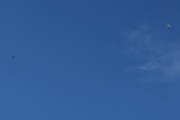 Morten 14 mai 2024 - Politihelikopter over Høyenhall igjen