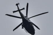 Morten 25 mai 2024 - LN-ORB over Drøbak, så ser jeg meg rundt. Alle står og ser på meg når jeg tar bilder, dette har dem nok aldri opplevd før