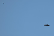 Morten 29 mai 2024 - Politihelikopter over Høyenhall på kvelden, det er 5 minutter til jeg skal legge meg, og her ser vi en fugl