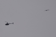 Morten 10 mars 2024 - Robinson R44 over Høyenhall igjen, problemet er at jeg ikke ser antennen eller antennene ordentlig