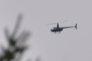 Morten 10 mars 2024 - Robinson R44 over Høyenhall igjen, så inntil videre. Enten LN-OGT, LN-OAQ eller LN-OAE