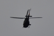 Morten 15 november 2024 - Bell 412 over Høyenhall