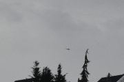 Morten 15 november 2024 - Bell 412 over Høyenhall
