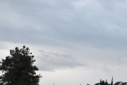 Morten 15 november 2024 - Bell 412 over Høyenhall