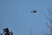Morten 22 november 2024 - Politihelikopter over Høyenhall igjen