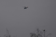 Morten 29 november 2024 - Politihelikopter over Høyenhall