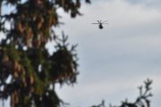 Morten 24 oktober 2024 - LN-ORA over Høyenhall, jeg har over 100 bilder av politihelikopteret med en fugl, det første bilde jeg fant var fra 30 oktober 2022