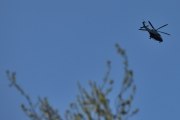 Morten 24 april 2025 - Politihelikopter over Høyenhall, her var det ingen fugl, men nå må jeg inn og se på 2024