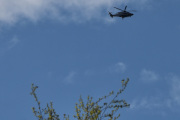 Morten 24 april 2025 - Politihelikopter over Høyenhall igjen, men jeg gir meg ikke på fuglen riktig enda, men her var det tomt