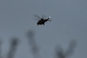 Morten 7 april 2025 - Politihelikopter over Høyenhall, klokken er 20.52 og jeg skal legge meg om 8 minutter. Hva kommer dem til og finne på?