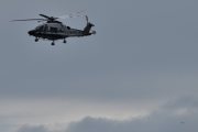 Morten 10 august 2025 - LN-ORB over Drøbaksundet, men først så må vi ha med flyet nederst i høyre hjørne