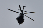 Morten 10 august 2025 - Politihelikopter over Drøbak, klokken er 14.58 og det er Politiet som møter meg på det vanlige stedet. Café Sjøstjernen ved vannkanten i hjertet av Drøbak Gjestehavn 