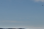 Morten 16 august 2025 - SAR Queen over Drøbak, så ser jeg en fugl til, men der dummet jeg meg ut. Så jeg sneipa røyken og hadde ryggen til. Det er en Aerospool WT-9 Dynamic Speed fra 2013