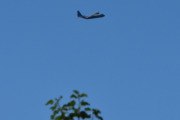 Morten 20 august 2025 - LN-ORA og Super Hercules over Høyenhall, klokken er 13.51 og jeg følger Royal Norwegian Air Force Luftforsvaret