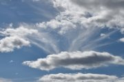 Morten 24 august 2025 - Politihelikopter over Høyenhall igjen, jeg følger dem og lytter - og ser opp mot himmelen. Jeg ser dem, litt til venstre ved skyen