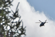 Morten 26 august 2025 - LN-ORB over Høyenhall, når dere ser dette grantreet uten fugler denne gangen, så er dem på vei til Taraldsrud