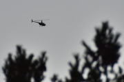 Morten 20 desember 2025 - Robinson R44 over Høyenhall, det ble ingen fugl i dag heller, men vi har et jetfly fra tidligere da. God Jul