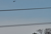 Morten 7 februar 2025 - Helitrans over Høyenhall