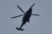 Morten 13 juli 2025 - Politihelikopter over Høyenhall igjen, klokken er 20.03 og det er for varmt for fuglene nå