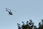 Morten 20 juli 2025 - Robinson R44 over Høyenhall, så var det juli da, der har jeg mange. Over 40 bilder