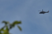 Morten 8 juli 2025 - Politihelikopter over Høyenhall, nå blir spørsmålet om jeg finner noen bilder 8 juli. Jeg fant 8 juli 2021 og 8 juli 2023, men fuglen uteble